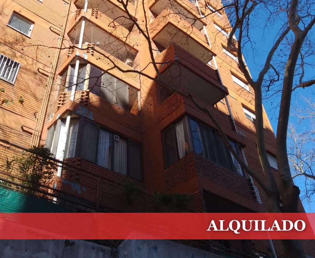 ALQUILER DEPARTAMENTO