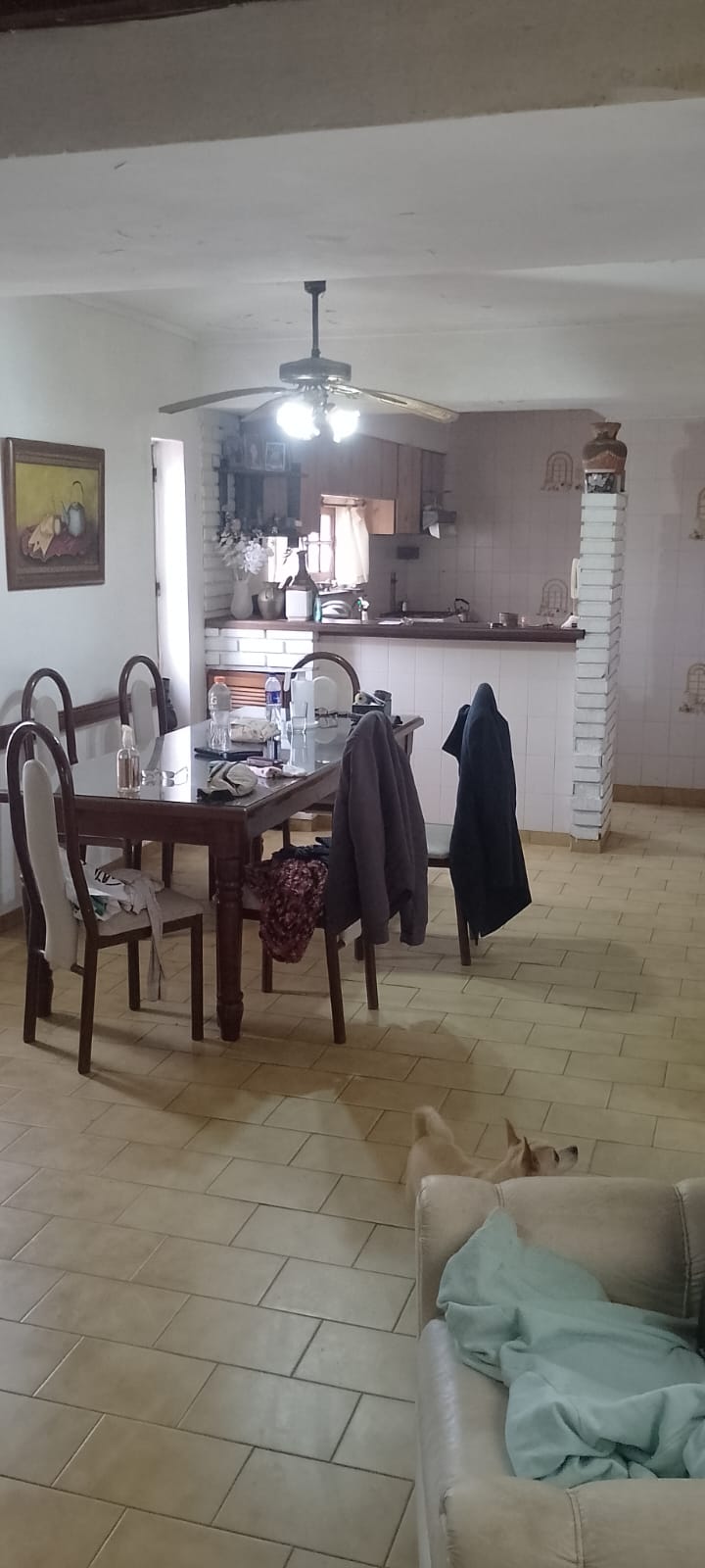 WhatsApp Image 2025-08-06 at 13.36.59 (3)